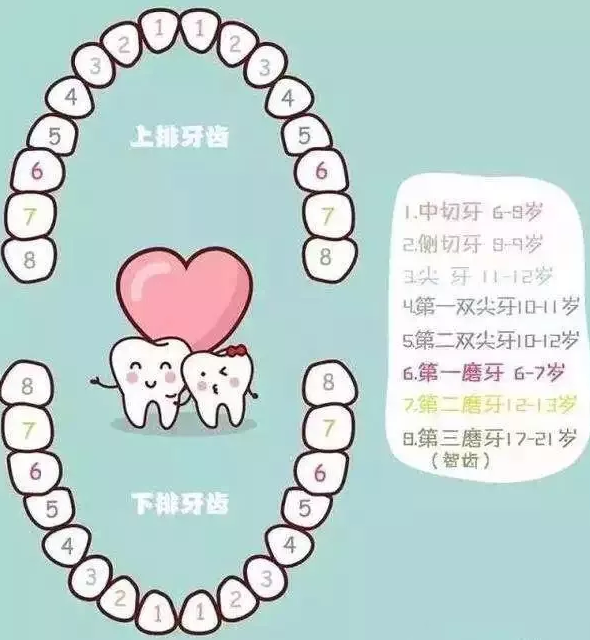 牙齿矫正的注意事项_东莞口腔医院